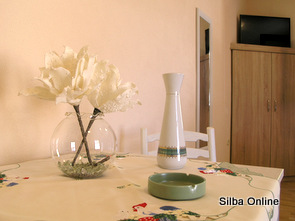 Silba_Igor