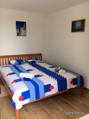 Žuži